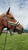 Horse ad