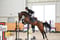 Annuncio cavallo