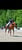 Annuncio cavallo