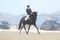 Annonce cheval