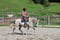 Annuncio cavallo