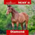 Horse ad