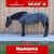 Horse ad