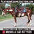 Horse ad