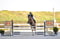 Horse ad