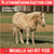 Horse ad