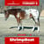 Horse ad