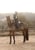Horse ad