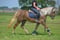 Annuncio cavallo