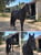 Anuncio de caballos