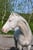 Horse ad
