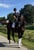 Annuncio cavallo