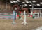 Horse ad