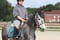 Annuncio cavallo