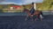 Annuncio cavallo