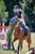 Annuncio cavallo