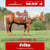 Horse ad