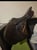 Horse ad