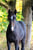 Horse ad