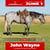 Annuncio cavallo
