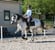 Annuncio cavallo