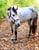 Horse ad