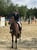 Horse ad