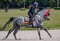 Horse ad