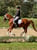 Annuncio cavallo