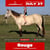 Horse ad