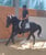 Horse ad