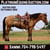 Horse ad