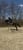 Horse ad