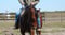 Horse ad