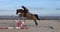 Horse ad
