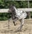 Horse ad