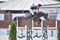 Annuncio cavallo