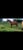 Annuncio cavallo