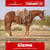 Horse ad