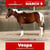 Horse ad