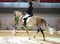 Annuncio cavallo