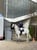 Annuncio cavallo
