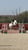 Annuncio cavallo