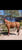 Annuncio cavallo