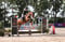 Annuncio cavallo