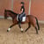 Annuncio cavallo