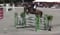 Annonce cheval