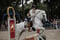 Horse ad