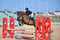 Annuncio cavallo