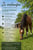 Annuncio cavallo